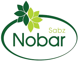 download-removebg-preview (1)